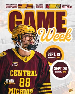 Image post by @cmuhockeyd3 on Instagram