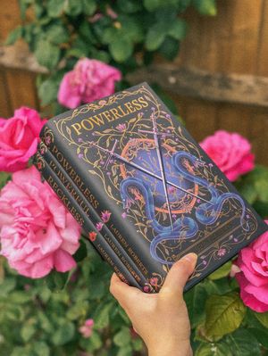 Image post by @fairyloot on Instagram