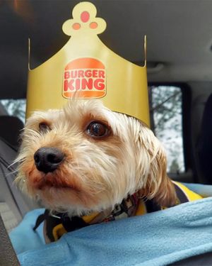 Image post by @burgerking on Instagram