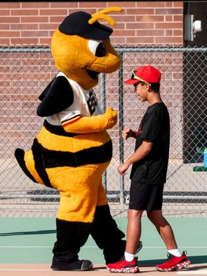Image post by @saltlakebees on Instagram