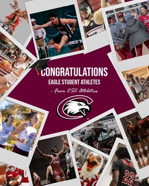 Image post by @csceagles on Twitter