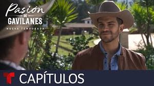 Video post by @telemundo on YouTube