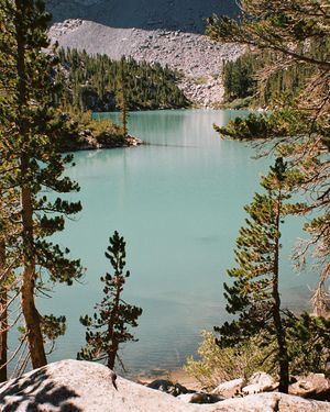 Image post by @lauraroze on Instagram