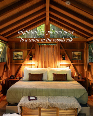 Image post by @treehousepoint on Instagram