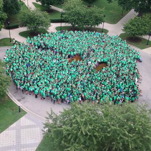 Image post by @marshallu on Instagram