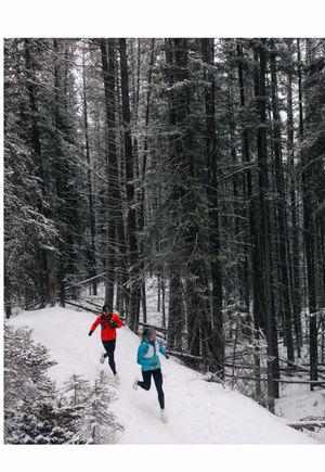 Video post by @thenorthface on TikTok