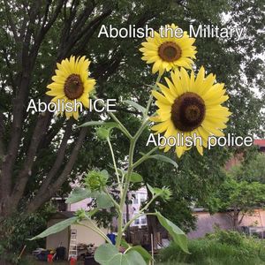 Image post by @green.anarchist on Instagram