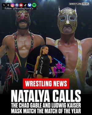 Image post by @wrestlingnewsco on Instagram