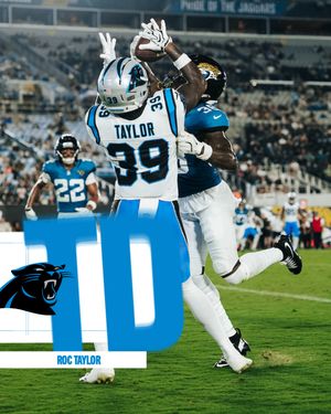 Image post by @panthers on Instagram
