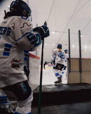 Image post by @henargomezphotography on Instagram