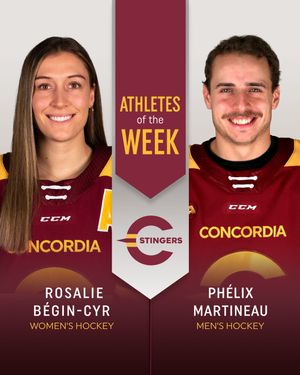 Image post by @the_stingers on Instagram