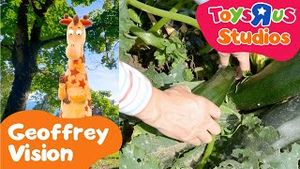 Video post by @toysrus on YouTube