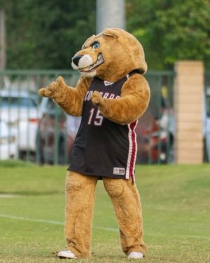 Image post by @apucougars on Instagram