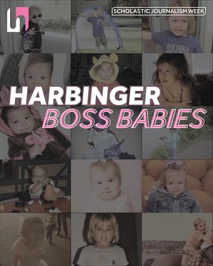 Image post by @smeharbinger on Instagram