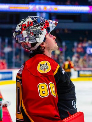 Image post by @Chicago_Wolves on Twitter