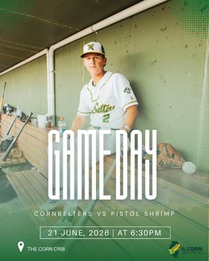 Image post by @normal_baseball on Instagram