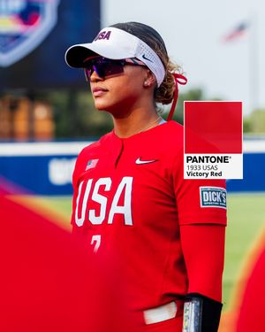 Image post by @usasoftball on Instagram