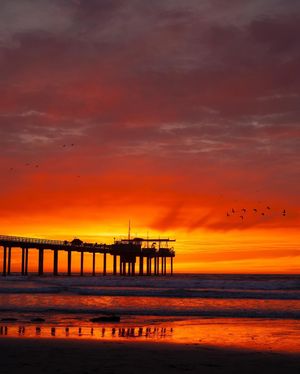 Image post by @ucsandiego on Instagram