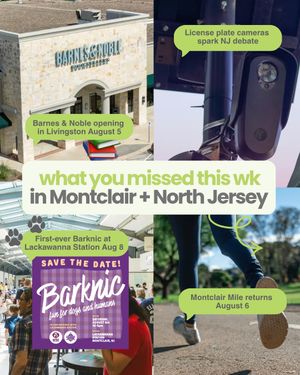 Image post by @themontclairgirl on Instagram
