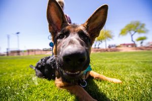 Image post by @cityofapachejunction on Instagram