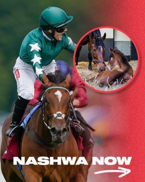 Image post by @worldhorseracing on Instagram