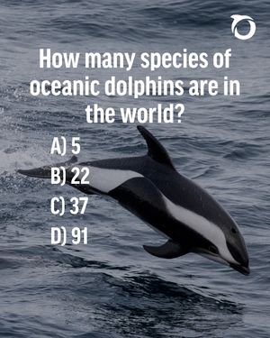 Image post by @oceana on Instagram