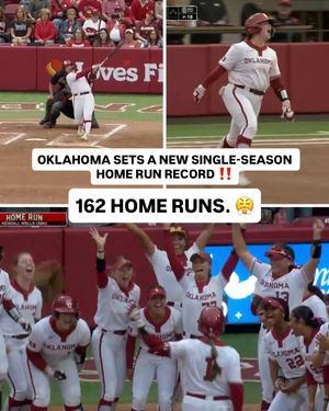 Image post by @ncaasoftball on Instagram