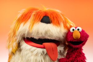Image post by @elmo on Instagram