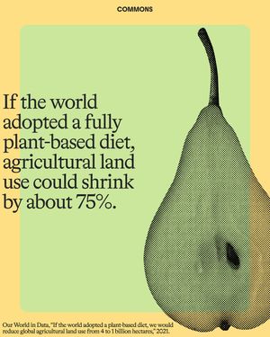 Image post by @commonsearth on Instagram