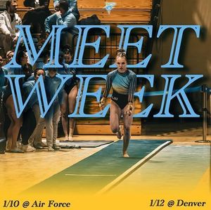 Image post by @liuwgymnastics on Instagram