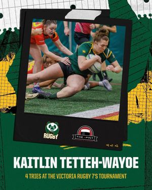 Image post by @bearsandpandas on Instagram