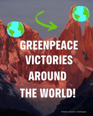Image post by @greenpeace on Instagram