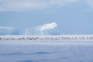 Image post by @white.desert.antarctica on Instagram