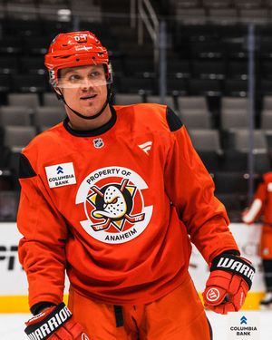 Image post by @anaheimducks on Instagram
