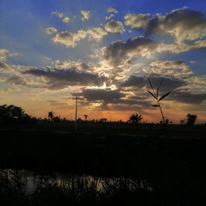 Image post by @faragelo22 on Instagram