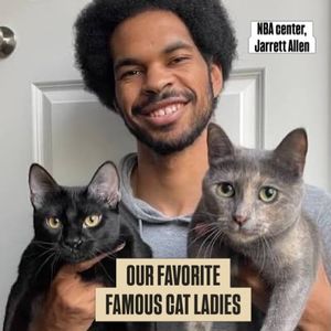 Image post by @coolcatcollectivelbc on Instagram