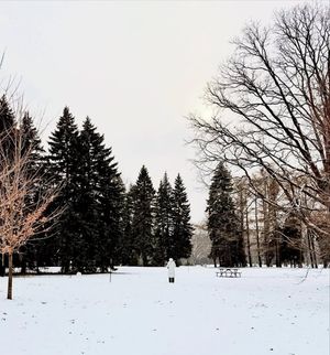 Image post by @mtl_unscripted on Instagram