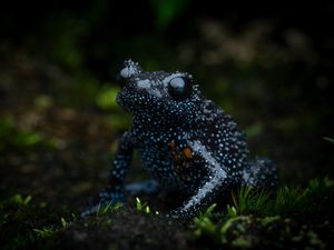 Image post by @discovery on Instagram