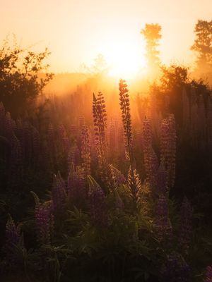 Image post by @sony.deutschland.at on Instagram