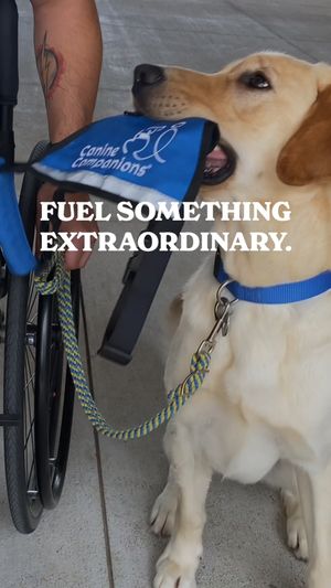 Image post by @canineorg on Instagram