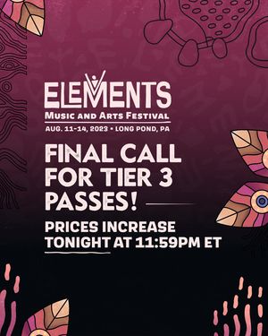 Image post by @elementsfestival_ on Instagram