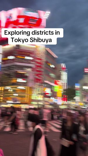 Video post by @txmtravel1 on TikTok