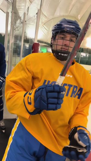 Video post by @hoficehockey on TikTok