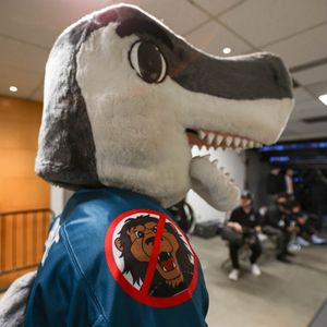 Image post by @officialsjsharkie on Instagram