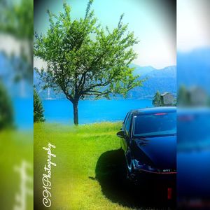 Image post by @c91photography on Instagram