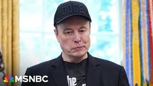 Video post by @msnbc on YouTube