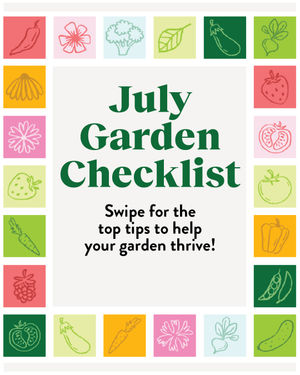 Image post by @burpeegardening on Instagram