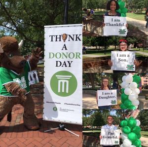 Image post by @marshallu on Instagram