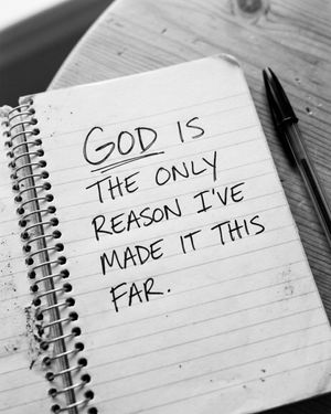 Image post by @wearetransformation on Instagram