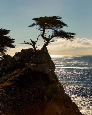 Image post by @tayelizabethphotos on Instagram